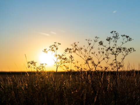 Sunset and Nature