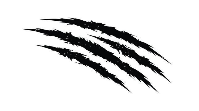 Claw marks vector illustration