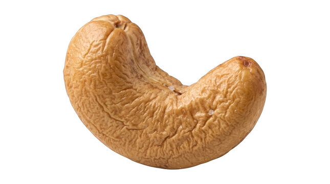 Single organic raw cashew nut isolated for healthy food snack and cooking ingredient isolated on transparent background