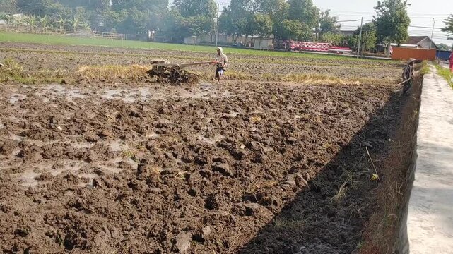 Farmer plowing a muddy rice field with a two-wheel tractor for rice planting, agricultural labor and rural farming life on a bright day.