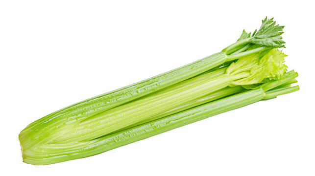Fresh green celery stalks with leafy tops, isolated on transparent background