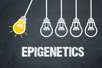 Fototapeta premium Epigenetics 