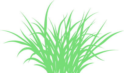 Fototapeta premium Bushy wild grass clump silhouette spreading naturally to serve as garden landscape vector element