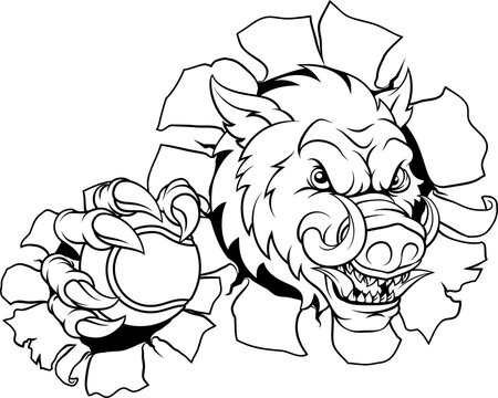 A wild boar, hog razorback warthog pig mean tough cartoon sports mascot holding a tennis ball 