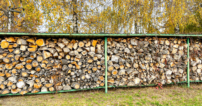 Neatly stacked firewood stored in an outdoor woodshed during autumn. Split logs organized under a roof with colorful birch trees and golden fall foliage in the background. 