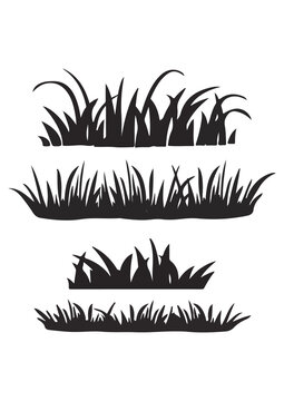 vector illustration of an abstract background with grass