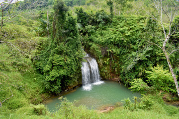 Lush greenery surrounds a gentle waterfall. Water cascades softly into a calm, turquoise pool. Foliage drapes rocks and roots in thick, vibrant growth © Fajar