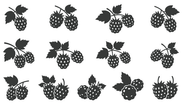 Black and white silhouettes of delicious organic raspberries and blackberries with leaves isolated on a plain white background.