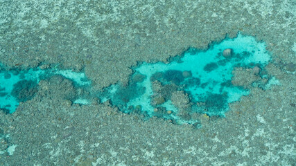 Aerial view of coral reef textures, turquoise ocean © The Long Horizon
