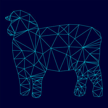 Sheep silhouette low poly triangulation triangulated polygonal electric cyan blue vibrant aqua neon color outline contour line
