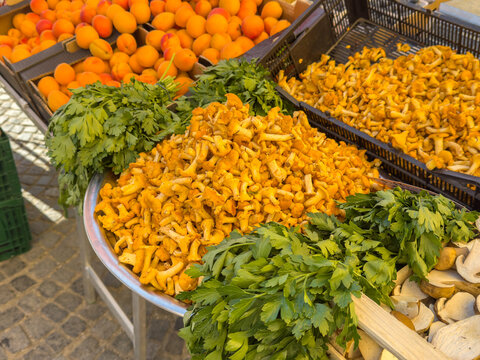 Fresh Chanterelle Mushrooms at a City Farmers' Market &ndash; Seasonal Food and Local Produce