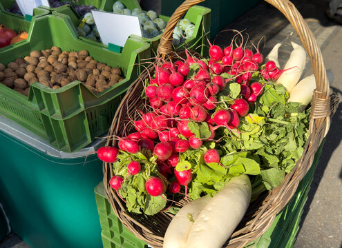 Basket of Fresh Organic Radishes and Daikon Radishes at a City Organic Market &ndash; Healthy Local Food