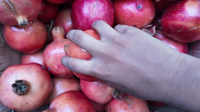 Hand Grasping a Ripe red Pomegranate Fruit , super close up cinematic shot