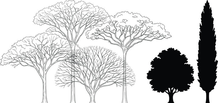 Mixed Tree Collection with Outline and Silhouette Landscape Vector Set