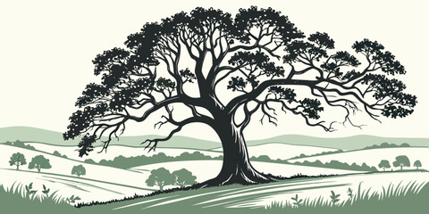 Oak tree standing alone in a grassy field with rolling hills in background, nature © Sp
