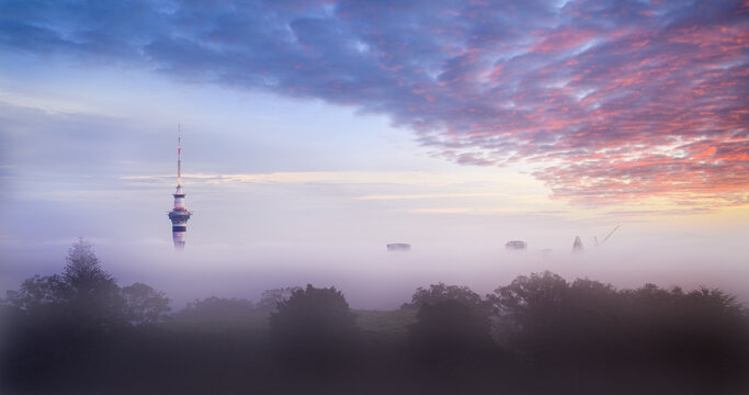 Auckland Sky Tower and skyline in heavy fog. View from Mt Eden summit at sunrise. Auckland.