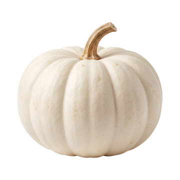 White pumpkin with stem isolated on transparent background