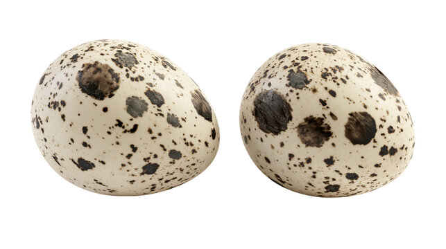 Two speckled quail eggs with dark brown and gray spots, isolated on transparent background
