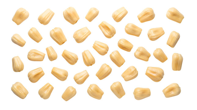 A scattered collection of raw pine nuts, also known as pi&ntilde;on nuts, on a white background.