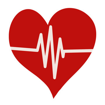 heart and heartbeat