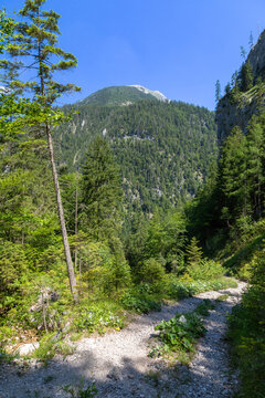 Aussicht im Hartelsgraben im Nationalpark Ges&auml;use, Steiermark