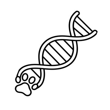 Modern outline icon representing pet DNA analysis, genetic testing, veterinary genomics and biotechnology.