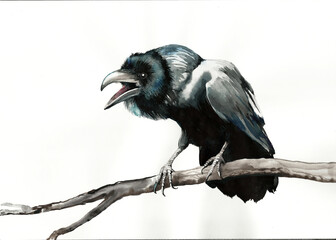 Black raven sitting on a tree branch watercolor illustration isolated on white background for Halloween design and gothic art projects