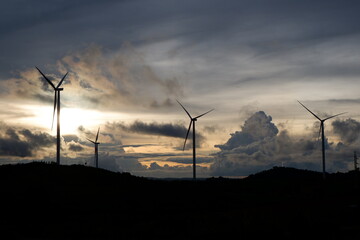 wind turbines at sunset © MomoI
