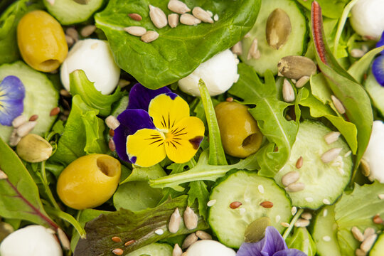 Fresh mozzarella salad with greens vegetables olives and edible flowers served on a plate during a summer lunch gathering