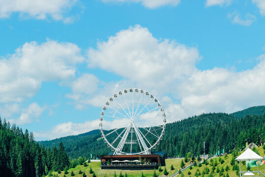 Large ferris wheel stands in a green area surrounded by trees on a sunny day