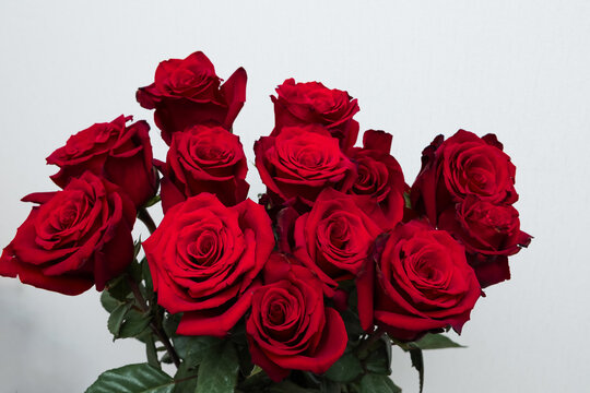 Fresh red roses arranged in a bouquet placed against a plain white background