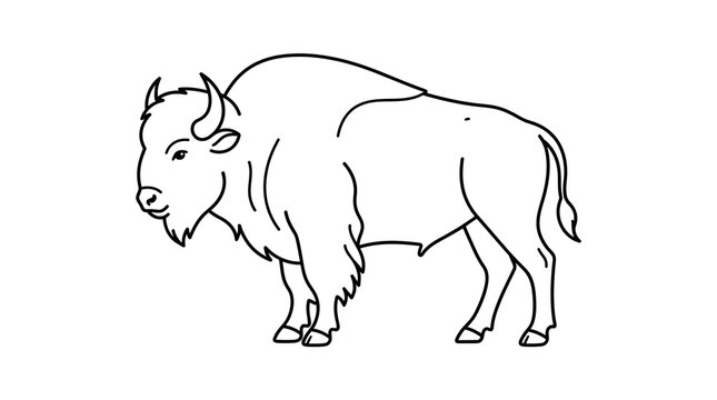 Simple black and white line art illustration of American bison side profile.