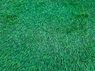 Green artificial grass turf surface texture background for sports and decoration  © ADP