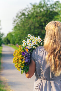 Woman with medicinal herbs. Selective focus.