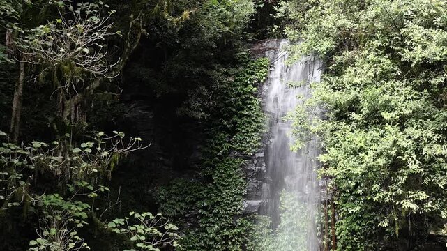 waterfall in the forest, Gondwana rainforest