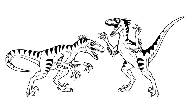 Black and white line art illustration of two aggressive velociraptor dinosaurs standing and facing each other