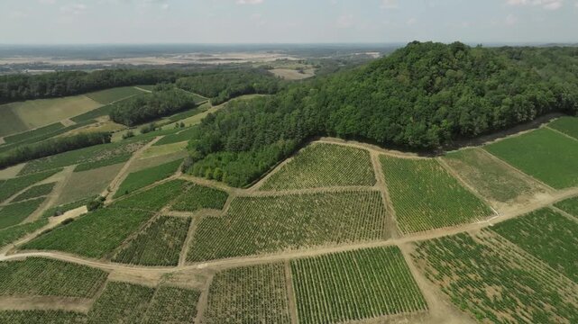 Vue a&eacute;rienne du village de L'&Eacute;toile et ses vignobles sous le soleil d'&eacute;t&eacute;, Jura (39)