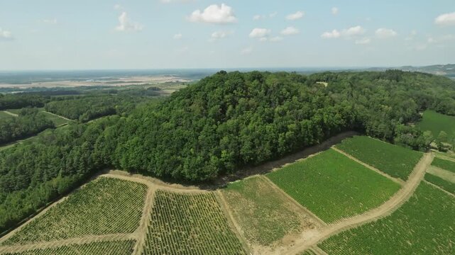 Vue a&eacute;rienne du village de L'&Eacute;toile et ses vignobles sous le soleil d'&eacute;t&eacute;, Jura (39)