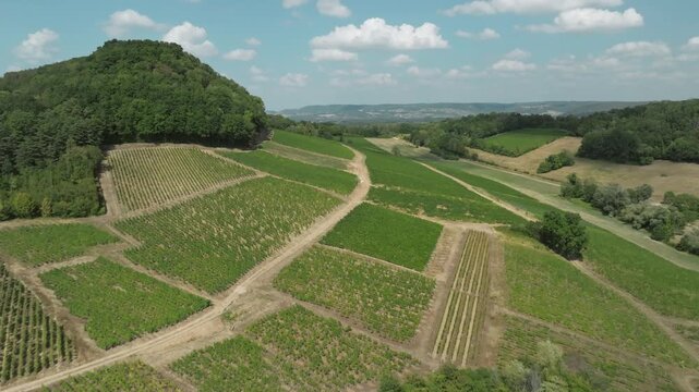 Vue a&eacute;rienne du village de L'&Eacute;toile et ses vignobles sous le soleil d'&eacute;t&eacute;, Jura (39)
