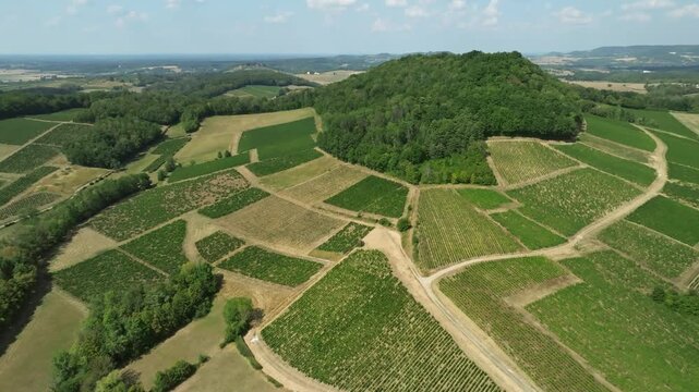 Vue a&eacute;rienne du village de L'&Eacute;toile et ses vignobles sous le soleil d'&eacute;t&eacute;, Jura (39)