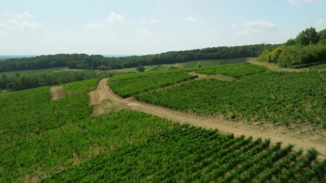 Vue a&eacute;rienne du village de L'&Eacute;toile et ses vignobles sous le soleil d'&eacute;t&eacute;, Jura (39)