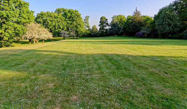 An expansive green lawn and mature trees in a parkland landscape in Maidenhead