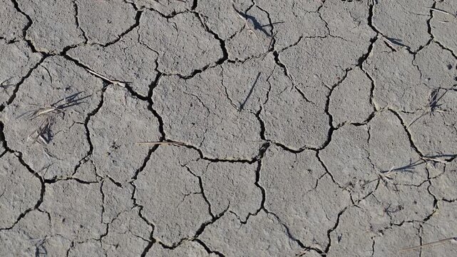 the dry, cracked surface of parched gray earth.
