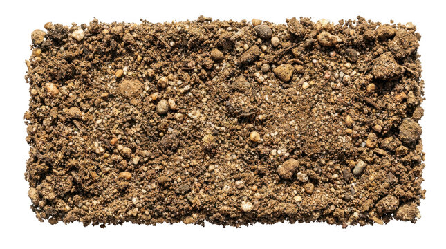 Top view of a rectangular patch of fertile soil isolated on transparent background