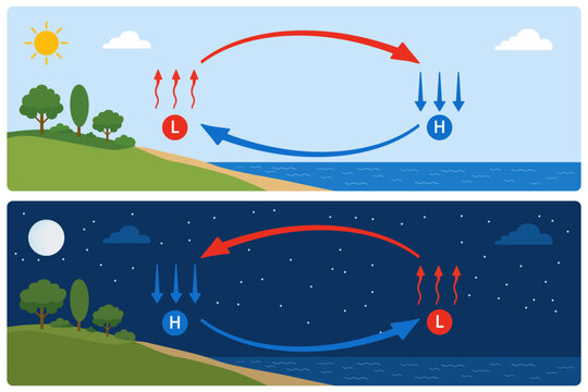 Sea and land breeze diagram,sea cooler,thermal convection and atmospheric pressure circulation cycle during day and night,blank numbered layout,thermal warm and cold air circulation infographic,vector