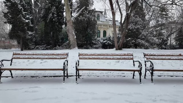 Snow-Covered Empty Park Benches  in a City Garden with Frosty Trees. Peaceful Winter Scene