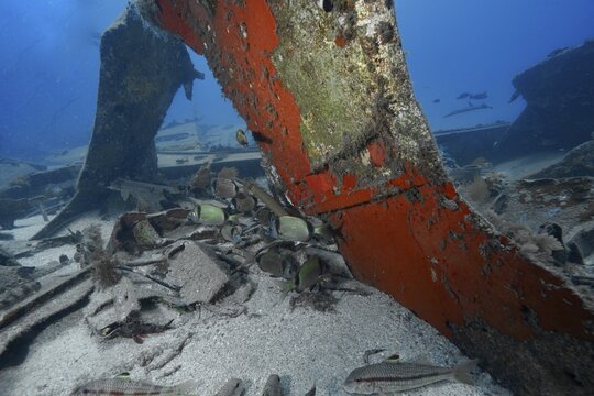 Fish frolic around rusty metal structure of a sunken ship, meteor wreck dive site, Russian hydrofoil, Arguineguin, Gran Canaria, Spain, Europe, Atlantic