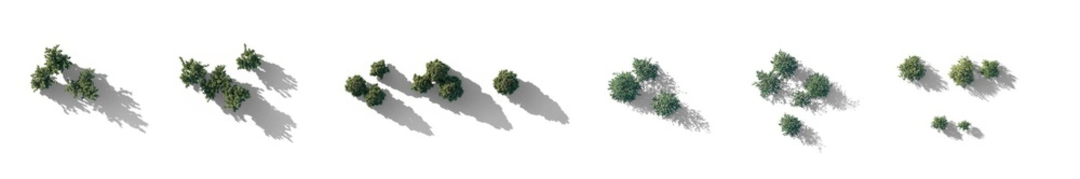 top view diverse shrubs with shadows (shrub cluster, bush collection, overhead shrubs) isolated PNG on a transparent background premium nature cutout