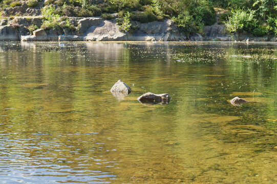 Clear, shallow water reveals rocks on the bottom, with a vegetated rocky bank and trees visible in the background under bright sunlight - Church Wood and Old Quarry, Bury, UK