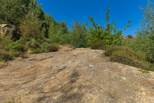 A sunlit, rocky path winds uphill through sparse green vegetation under a clear blue sky, leading into a dense forest - Church Wood and Old Quarry, Bury, UK